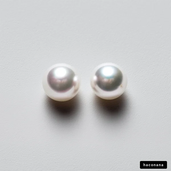 美しい真珠の写真