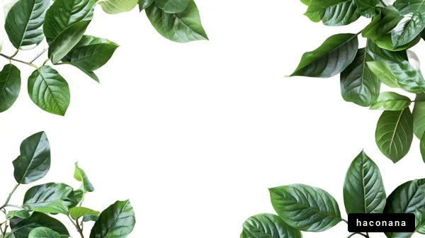 緑の葉っぱのフレーム