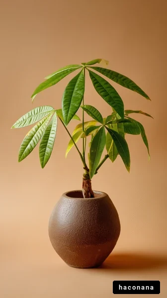 観葉植物の美しい姿