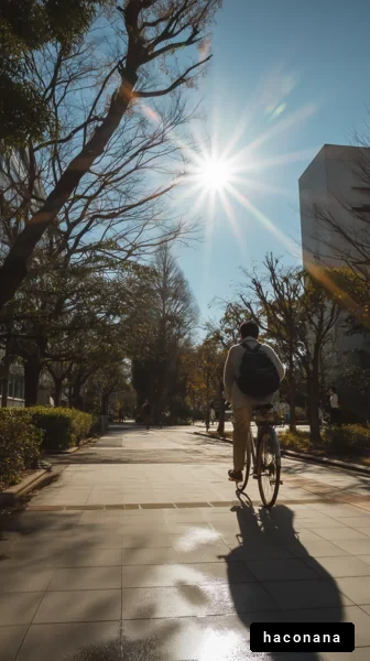 自転車での穏やかな散策