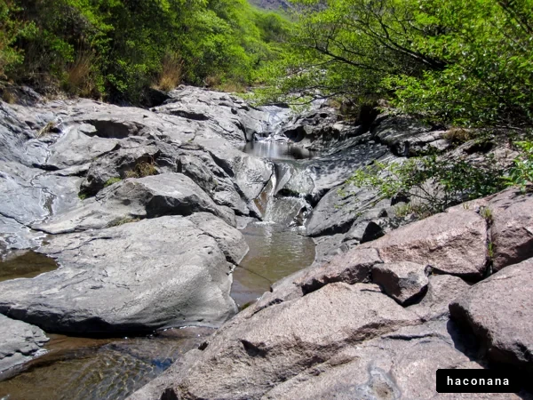 自然豊かな渓流の風景
