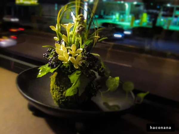 夜の花のディスプレイ