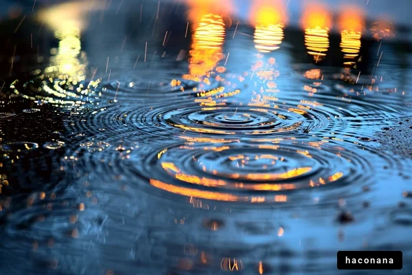 雨の水面と光の映り込み