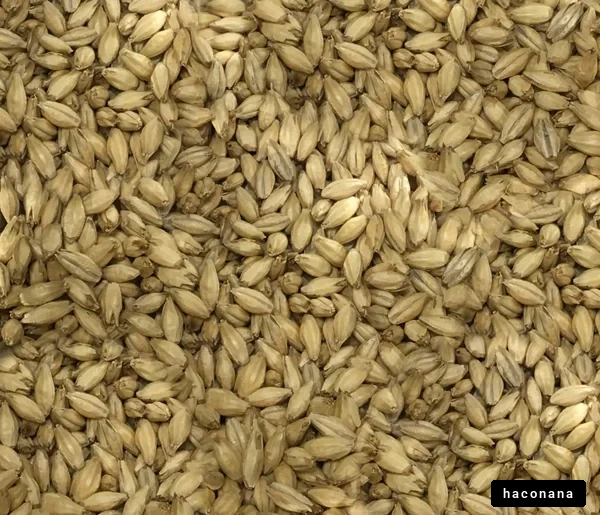 穀物の粒のアップ写真