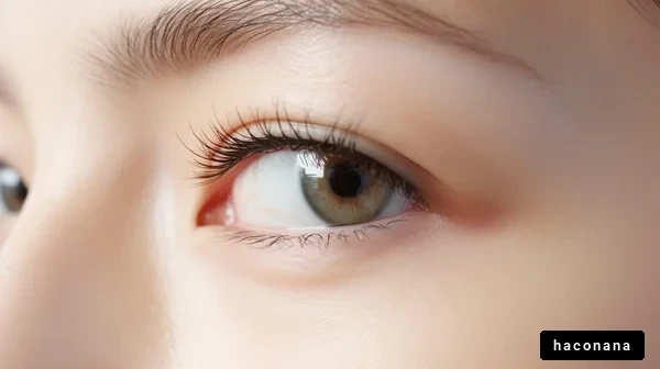 美しい目のクローズアップ