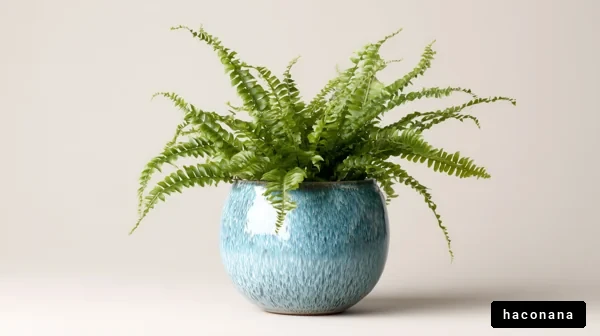 青い鉢のシダ植物