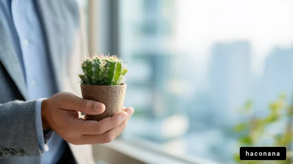 オフィスでサボテンを持つ手