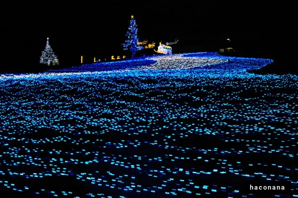 幻想的なイルミネーション