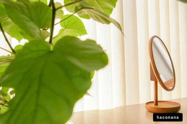 緑と鏡のある空間