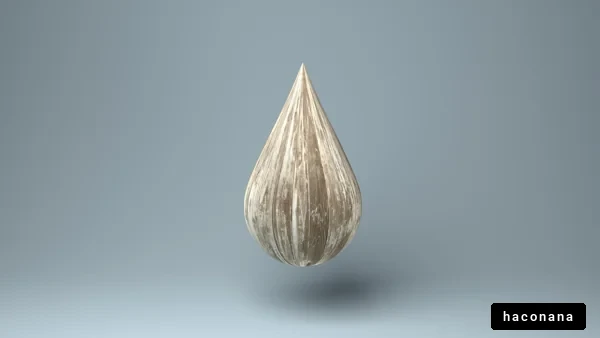 水滴のような形状