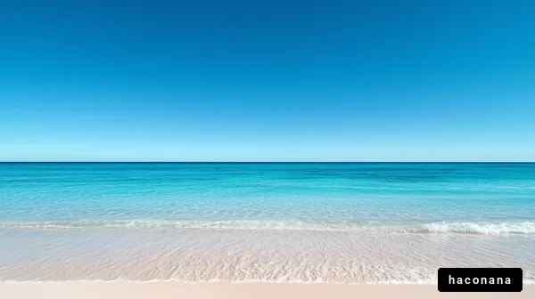 美しいビーチの風景