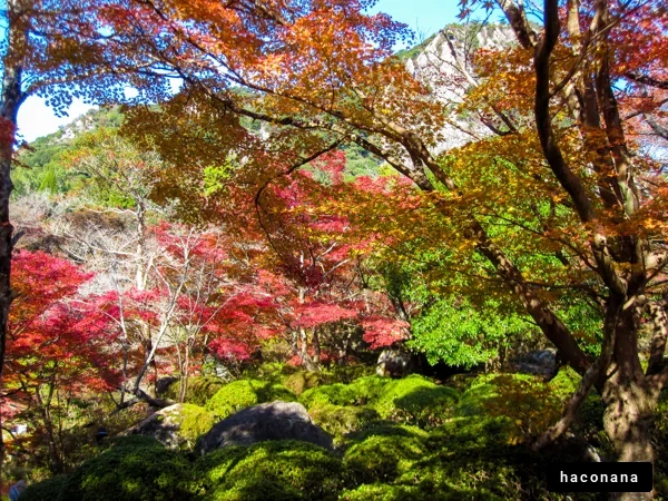 色とりどりの秋の風景