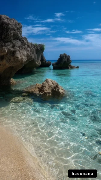 美しい青い海の景色