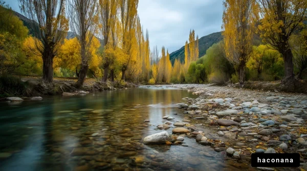 秋の川辺の静けさ
