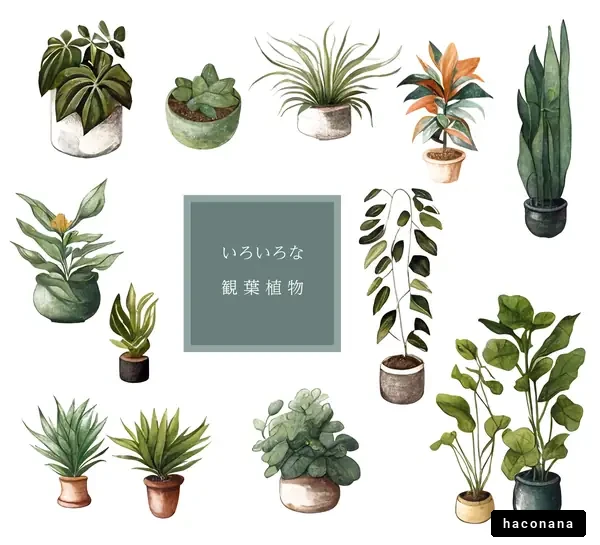 色々な観葉植物のイラストセット