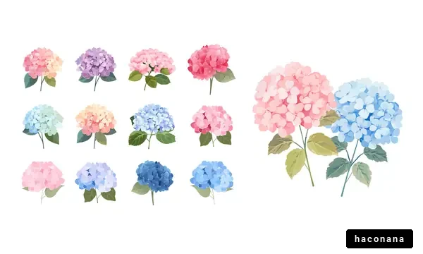 多彩なあじさいの美しさ