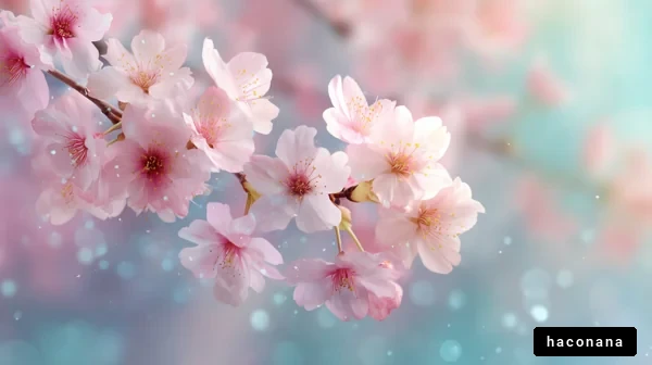 桜の美しい花びら