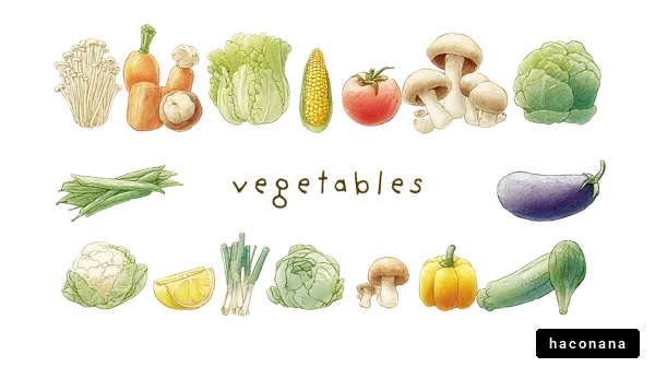 色とりどりの野菜たち