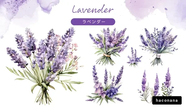 ラベンダーの花束とイラスト