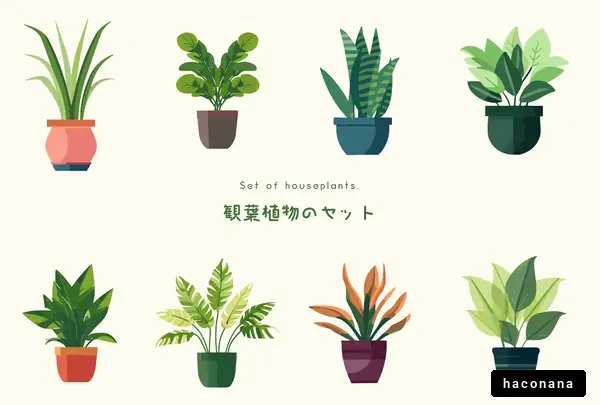 観葉植物のイラストセット