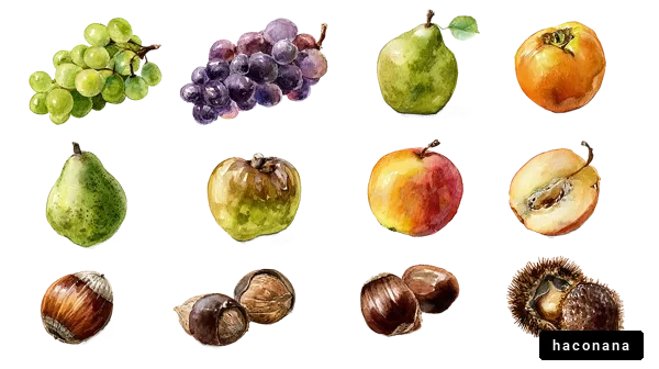様々な果物のイラスト