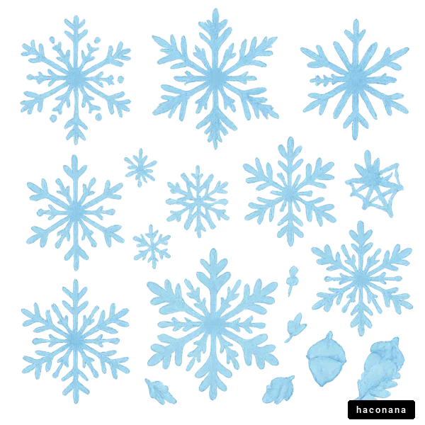 美しい雪の結晶デザイン