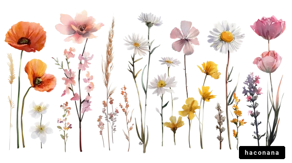 多様な花のイラスト