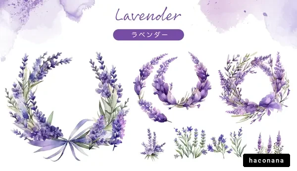 美しいラベンダーの花束