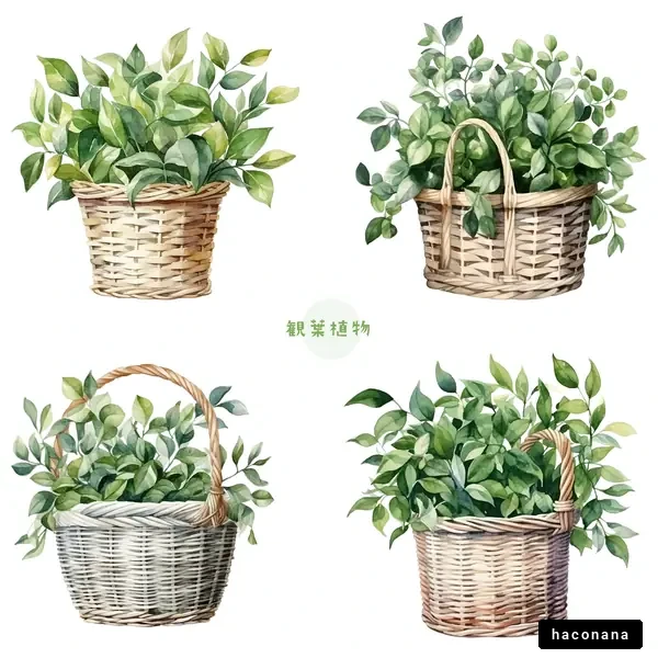 観葉植物のバスケットイラストセット