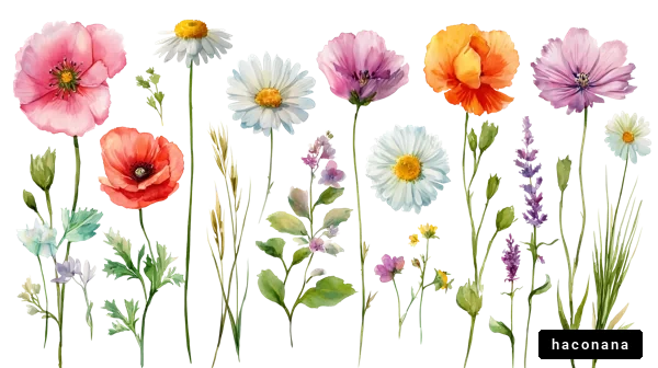 色とりどりの花々