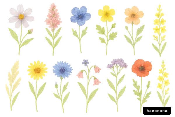 色とりどりの花々