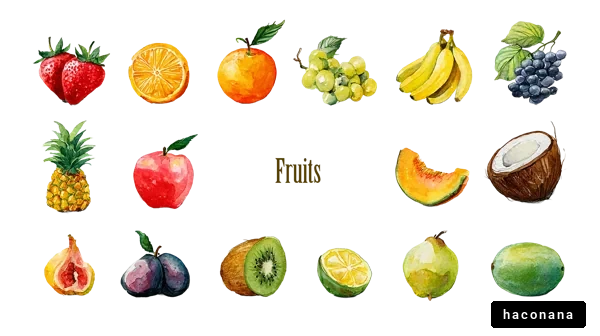 色とりどりの果物