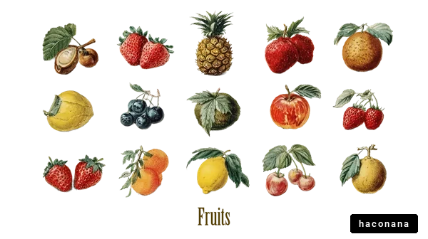 さまざまな果物のイラスト