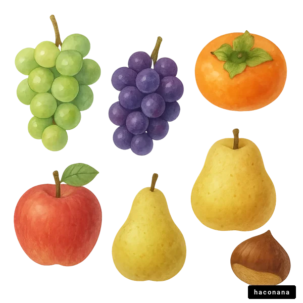 色とりどりの果物のイラスト