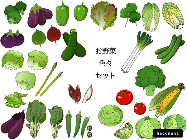 多様なお野菜のイラスト