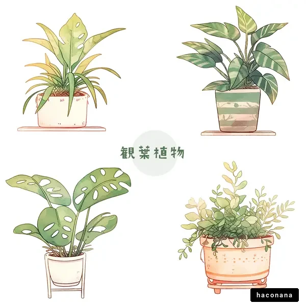 観葉植物のイラスト