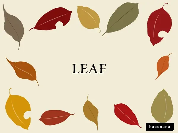 色とりどりの葉っぱ