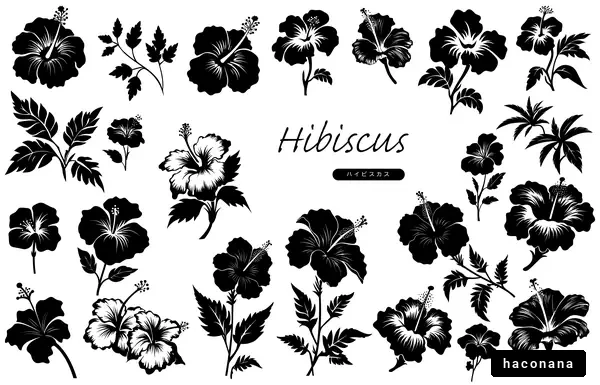 ハイビスカスのシルエット