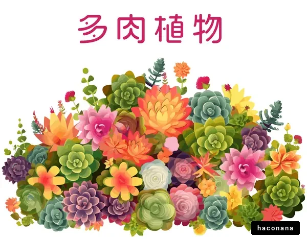 カラフルな多肉植物
