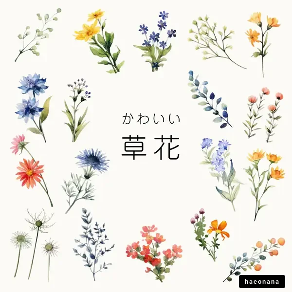 かわいい草花のイラストセット
