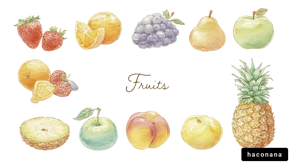 色とりどりの果物イラスト