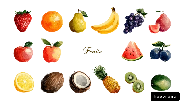 様々な果物のイラスト