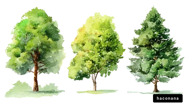 水彩画の美しい木々