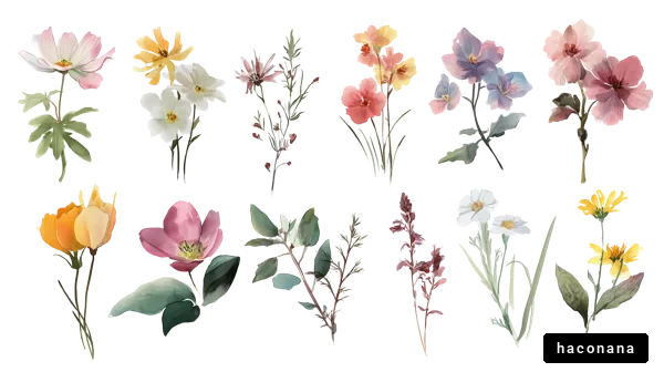 さまざまな花のイラスト