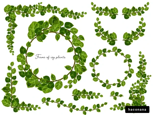 アイビー植物のフレーム