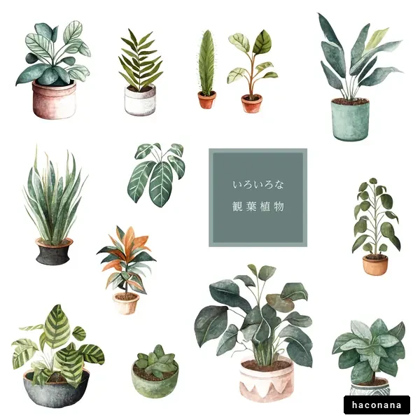 さまざまな観葉植物の水彩イラストセット