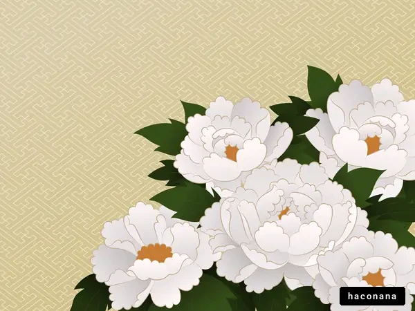 白い牡丹のベクターイラスト