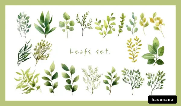 緑色の葉の水彩画セット