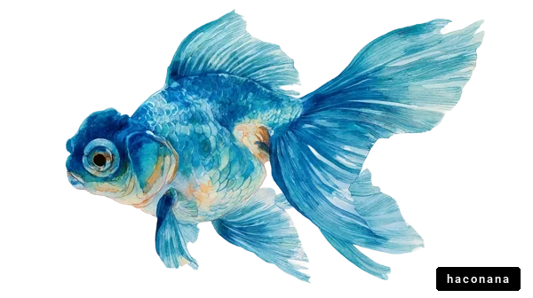 鮮やかな金魚の水彩画