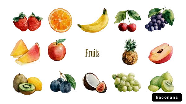カラフルな果物のイラスト